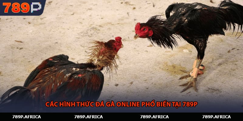 Các hình thức đá gà online phổ biến tại 789P