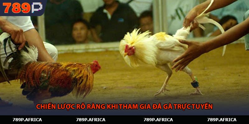 Chiến lược rõ ràng khi tham gia đá gà trực tuyến.
