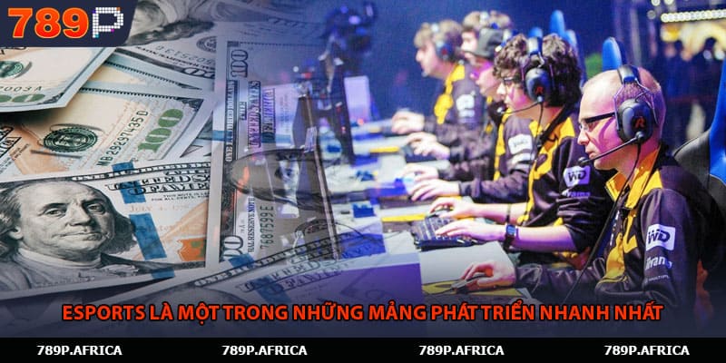 ESports là một trong những mảng phát triển nhanh nhất 