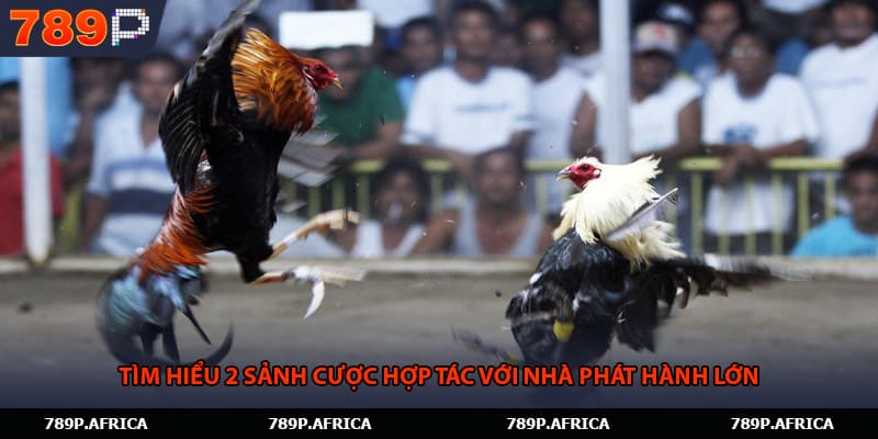 Tìm hiểu 2 sảnh cược hợp tác với nhà phát hành lớn